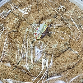 SARMA TAHİN HELVASI İÇİ ÇİKOLATALI DİŞİ SUSAMLI