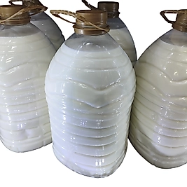 1 KG GÜNLÜK ÇİĞ SÜT