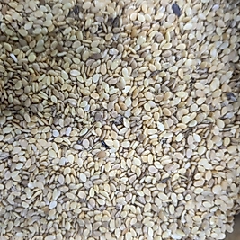 YERLİ SUSAM ÇİFTE KAVRULMUŞ